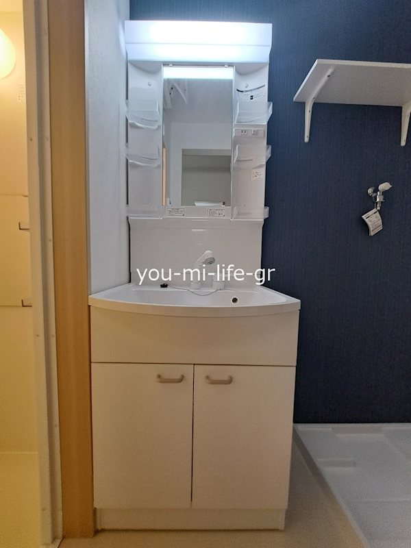 ルピナス その他3