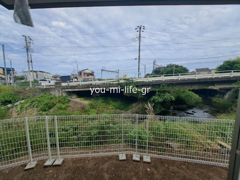 ルピナス その他7