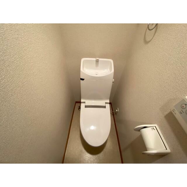 ビーズ湘南 その他2