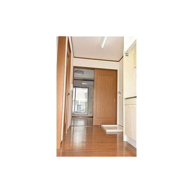 その他17