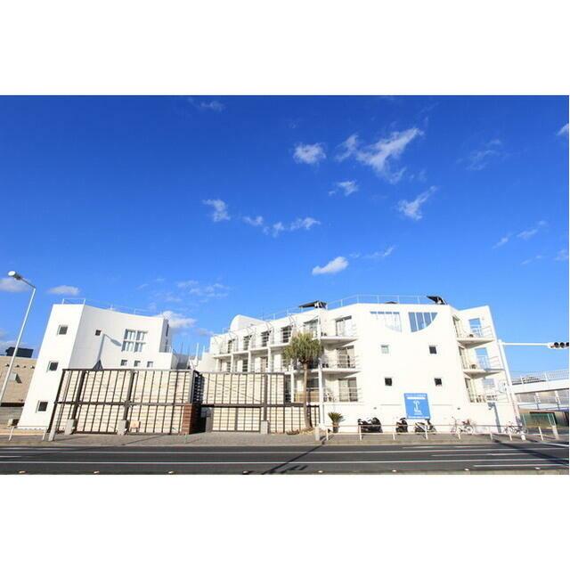 Ｐａｌｍ　Ｌｏｕｎｇｅ その他外観1