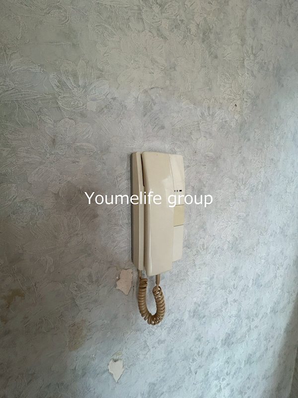 山際戸建 その他3