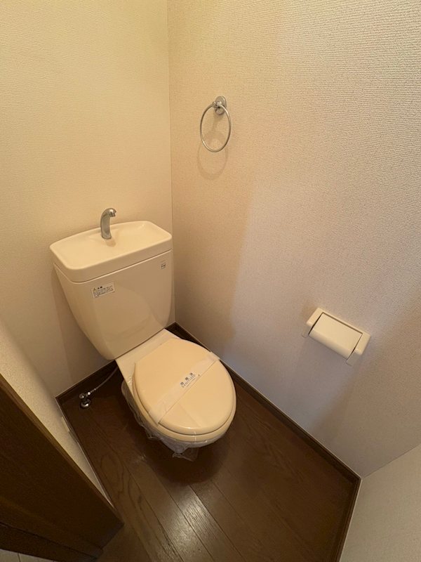 Foliar Sakama その他1