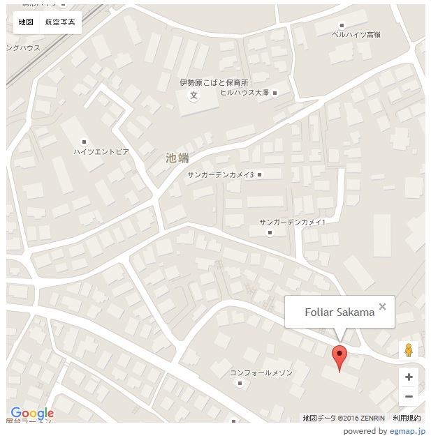 Foliar Sakama その他外観1