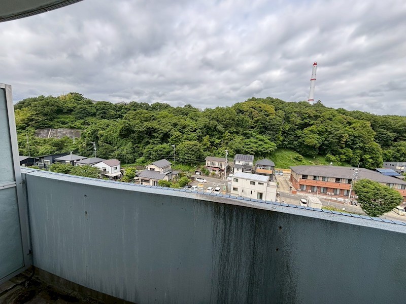 その他7