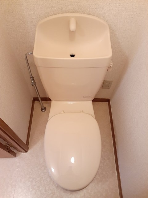 バードチャープ その他1