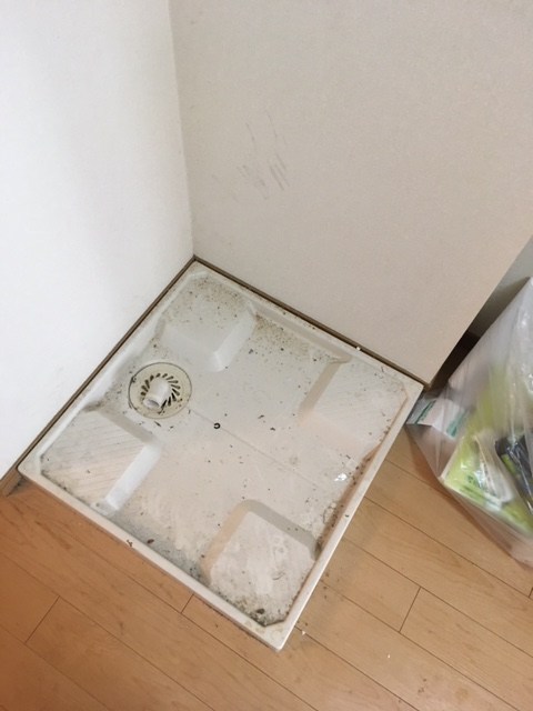 コーラル　Ｋ その他3