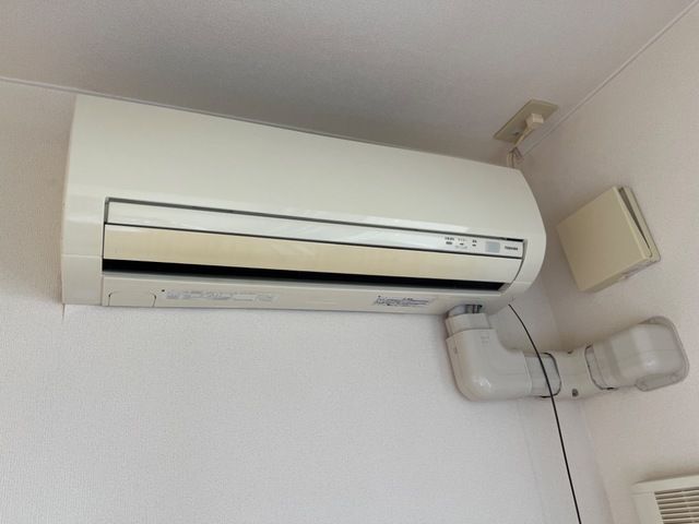 アネストハイム・Ｎ その他2