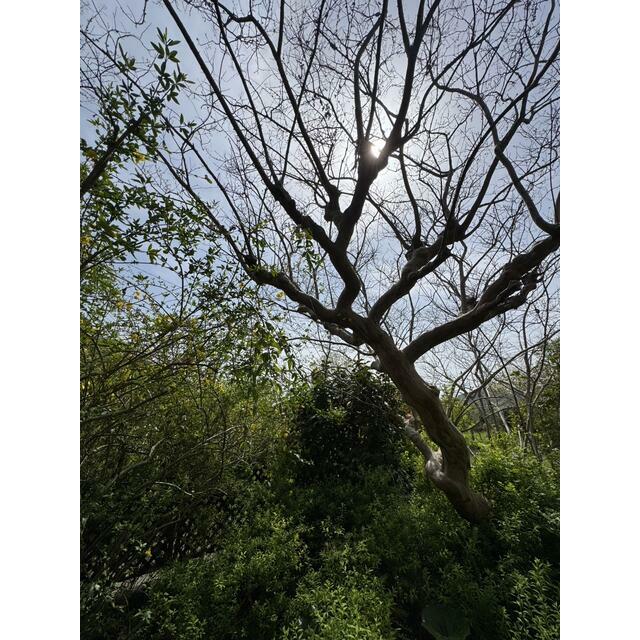 生沢Ｔ その他外観2