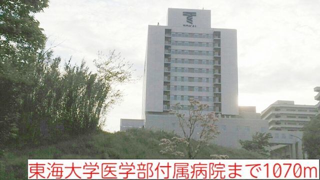 ネオ・グリシーヌ その他外観3