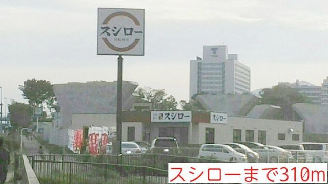 ネオ・グリシーヌ その他外観4