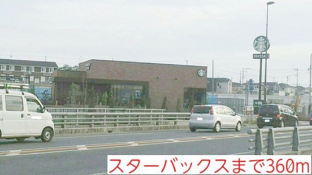 ネオ・グリシーヌ その他外観5