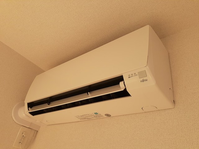 デスパシオ その他6