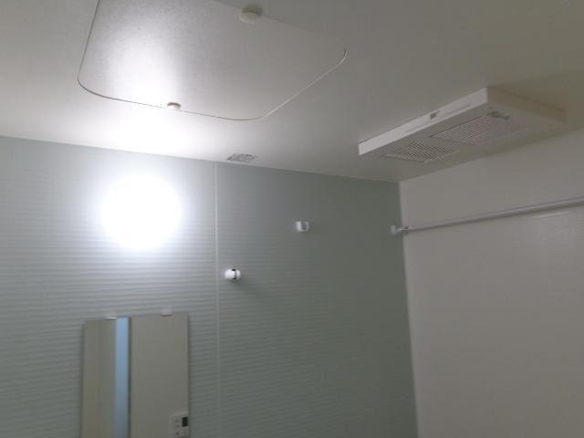 あざらし その他3