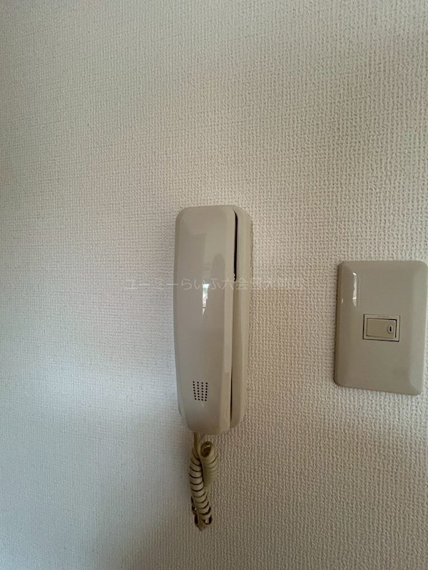 ルクソール その他4