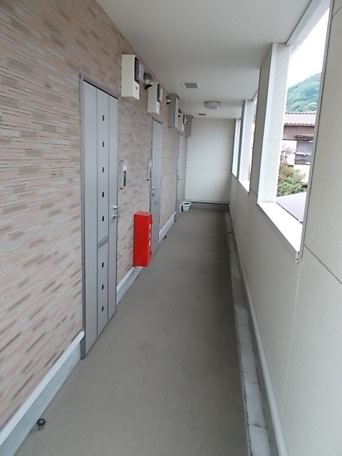 Ｓｉｅｄ　ＬｕｎｇⅡ その他7