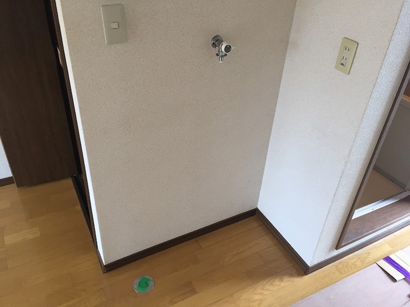 ハイグレードムツアイ その他8