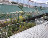 ビューパレスB ベランダ