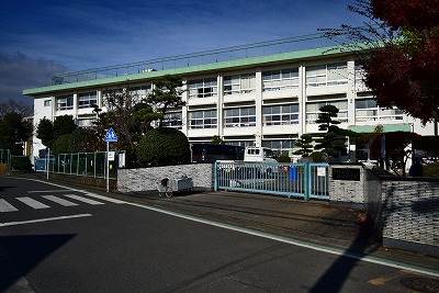 グリーングラス 周辺画像5
