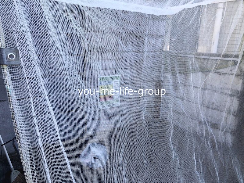 ワコーレエレガンス秦野 その他外観3