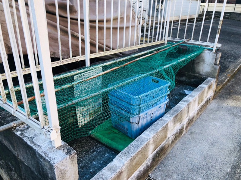 サンハイツⅡ その他外観2