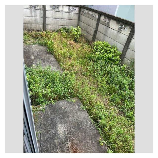 その他4