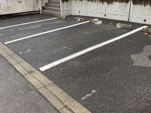 レオネクストパラティーノ その他2