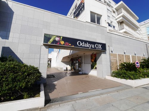 藤沢市鵠沼海岸２丁目住宅（０００５１７７） 周辺画像8