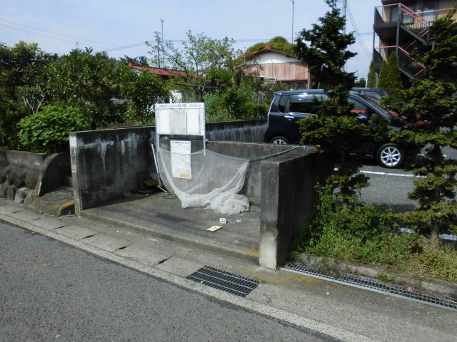 メタセコイヤ その他外観5
