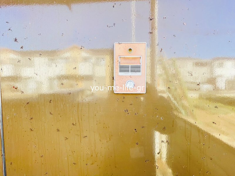 コーポケイⅡ その他3