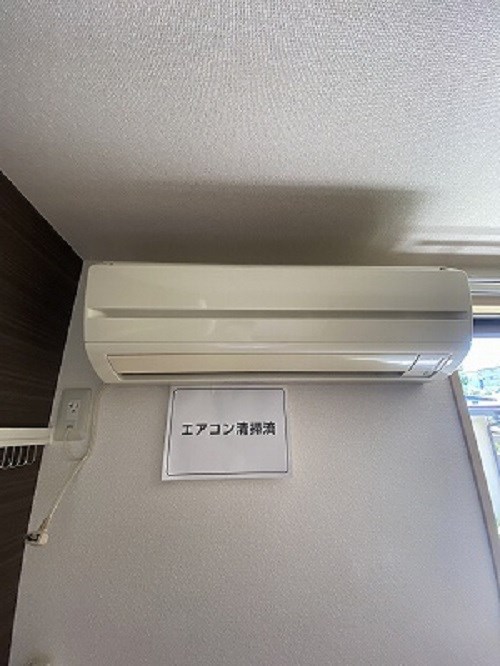 マロングレイス その他4
