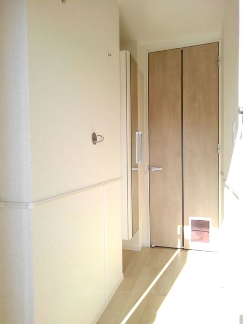 イデアルⅢＡ 玄関