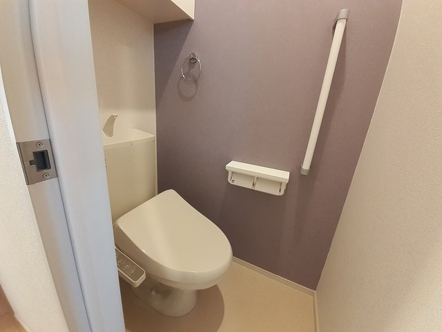 サンセール　クスノキ その他4