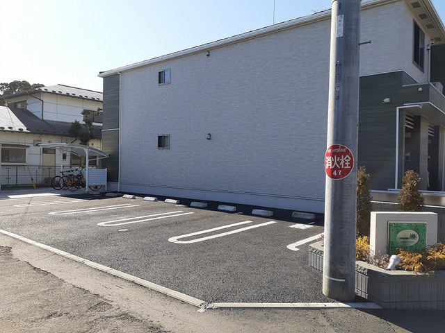 サンセール　クスノキ その他7
