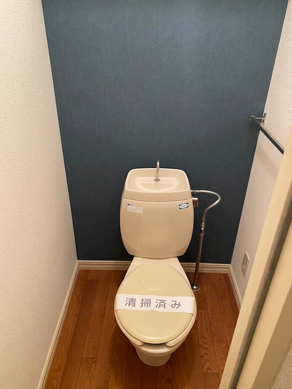 コスモグレースB その他1