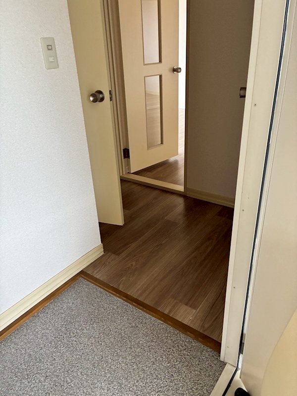 コスモグレースB 玄関