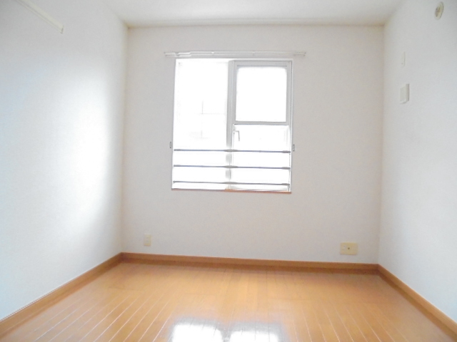 Ｙ．クルメンⅡ その他2