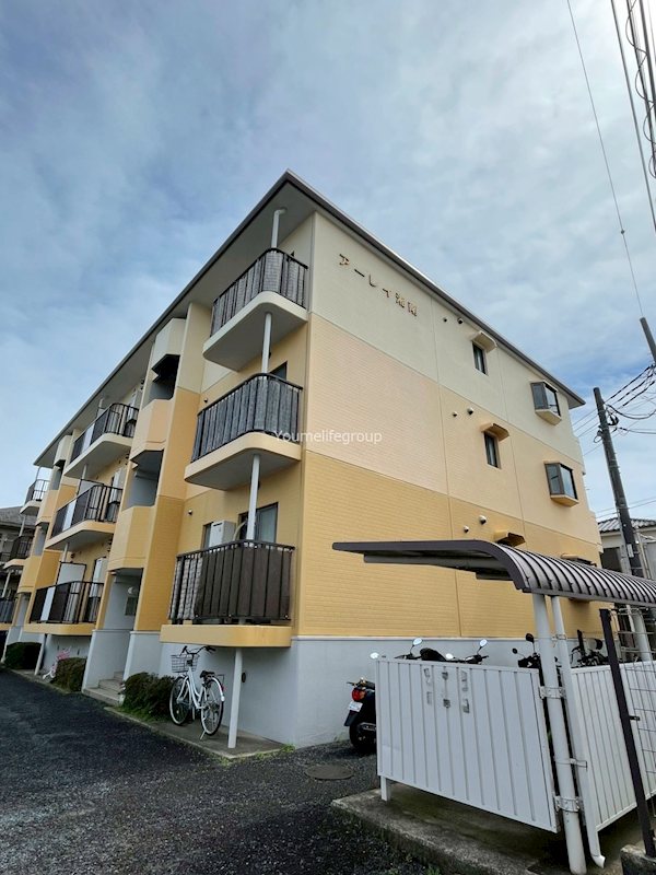 アーレイ湘南 303号室 外観