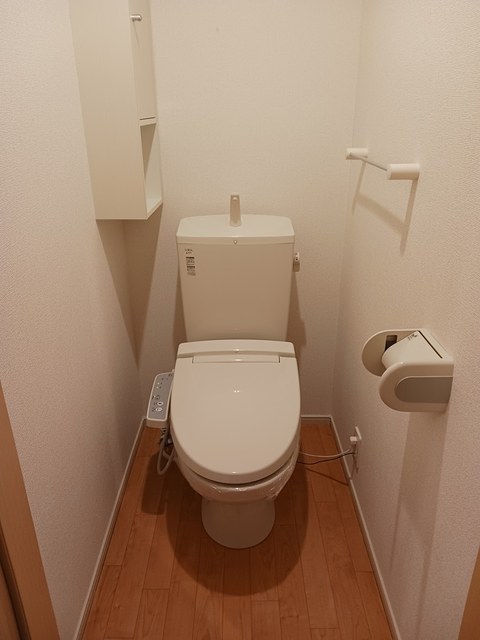 プラシード その他1