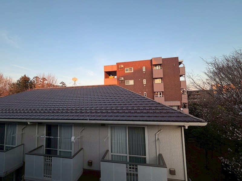 シンビジウム湘南台 その他5