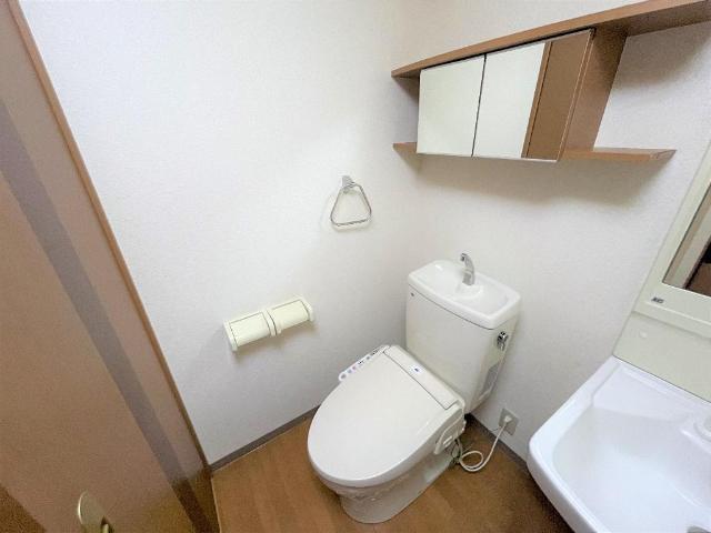 スプリングウィンド その他1