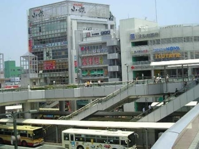 ラベンダー湘南 その他17