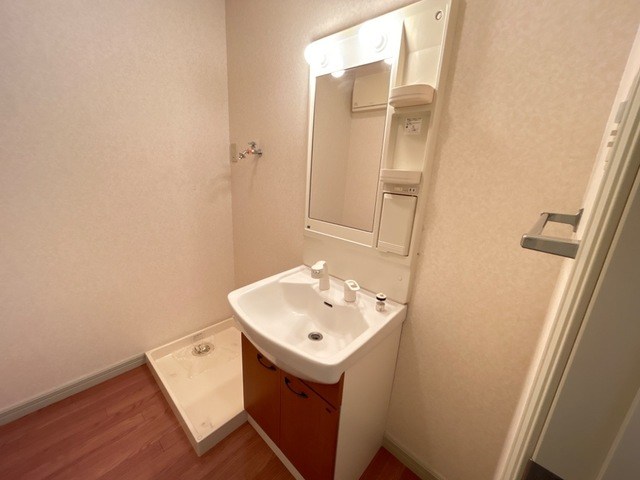 マノリアⅡ その他2