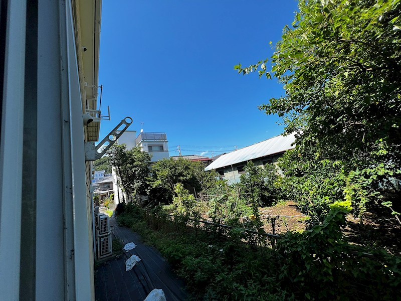 パームタウン その他