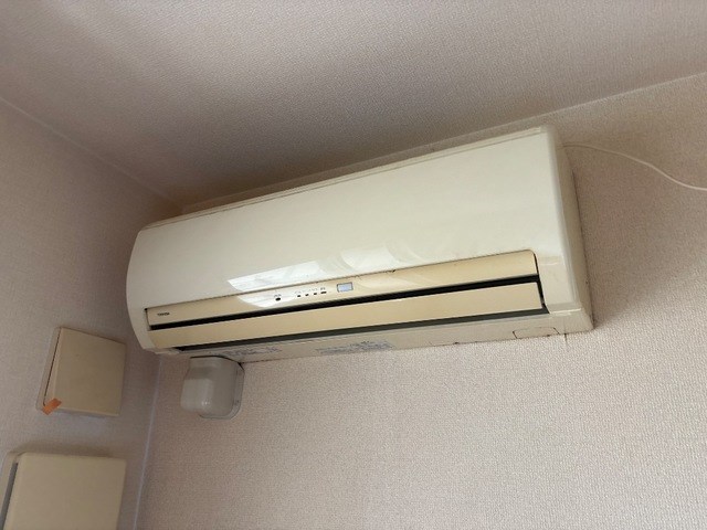 パラディ その他5