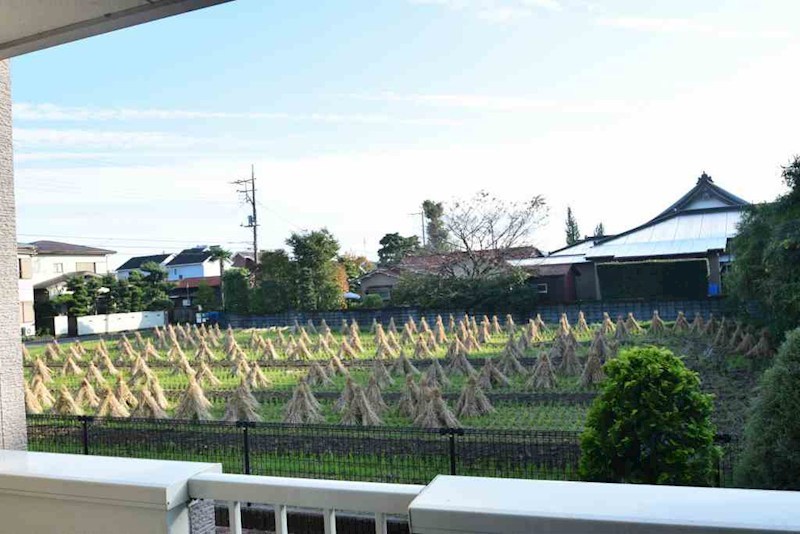 Ｙ．クルメン その他5