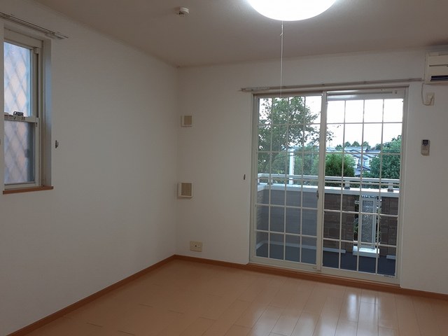 プラシードＫ その他1