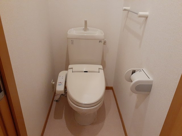 プラシードＫ その他4