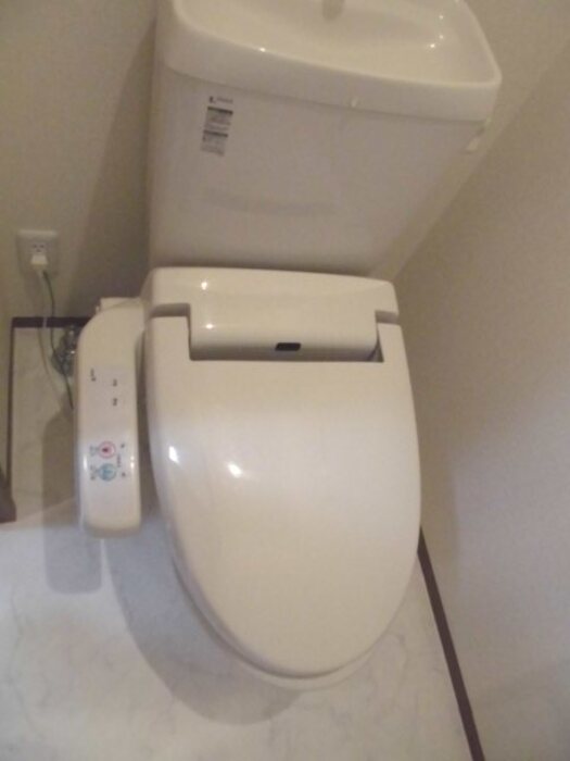 オークリーフ その他3