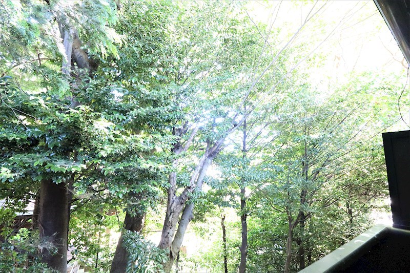 GRANDEUR YAMAHISA A その他4